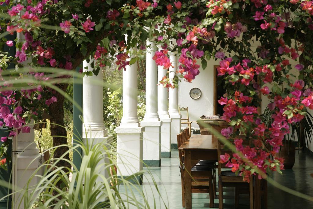 York Lodge Harare Kültér fotó